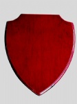 shield awards plaque