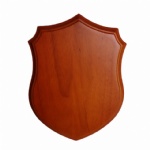 solidwood matte finish awards shield
